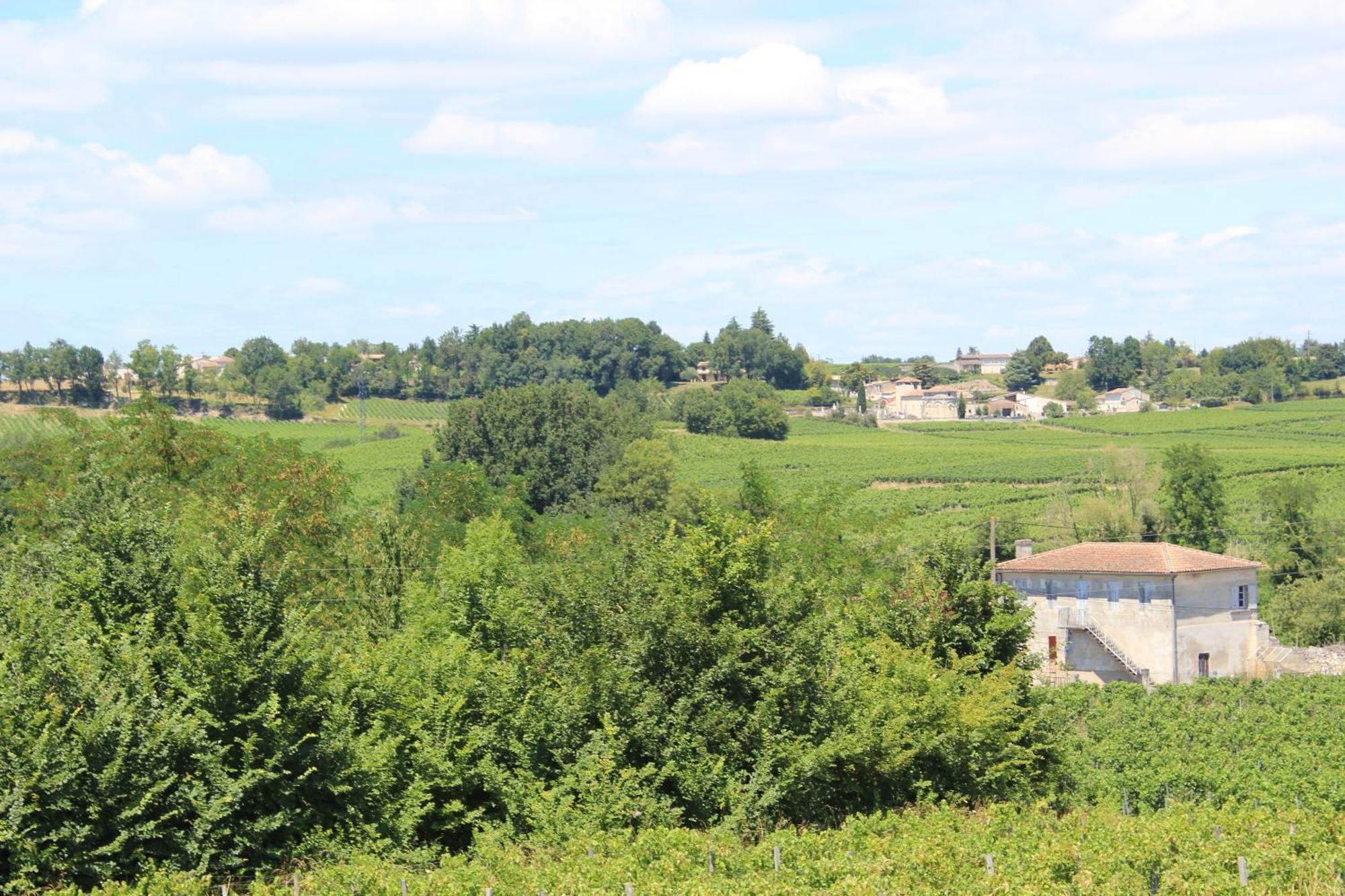 Bed and Breakfast Les Charmes De Vincent - Le Loft Cabernet Fronsac  Exterior foto